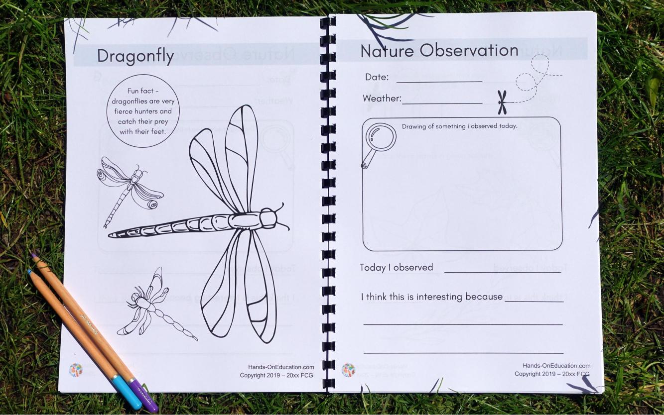 KS1 Nature Journal