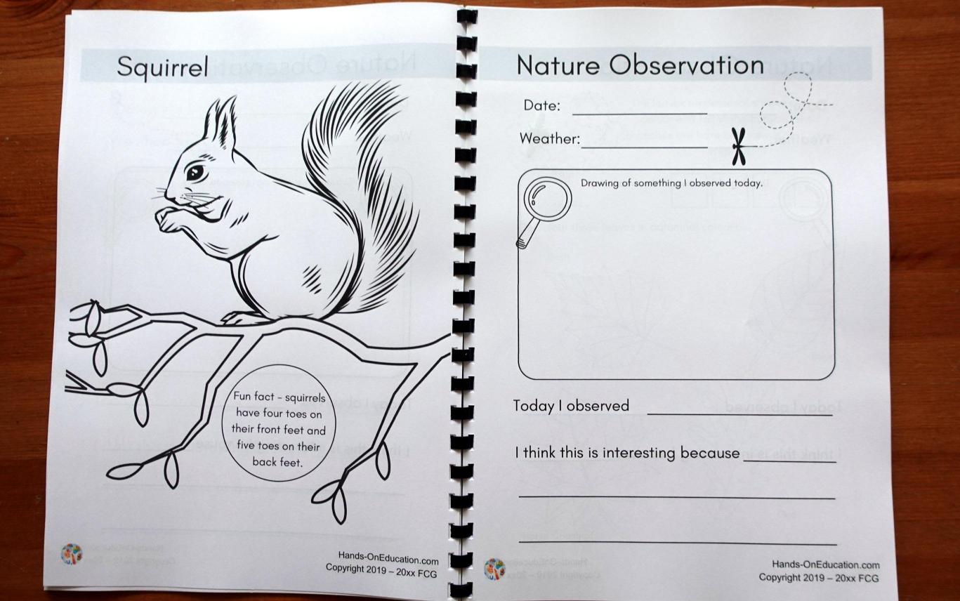 KS1 Nature Journal