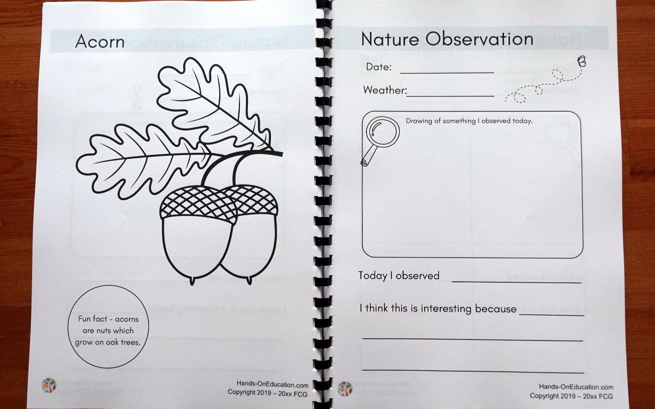 KS1 Nature Journal