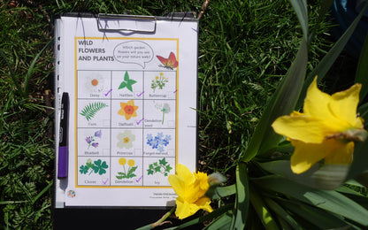 Year 1 Plants Around Us Activities