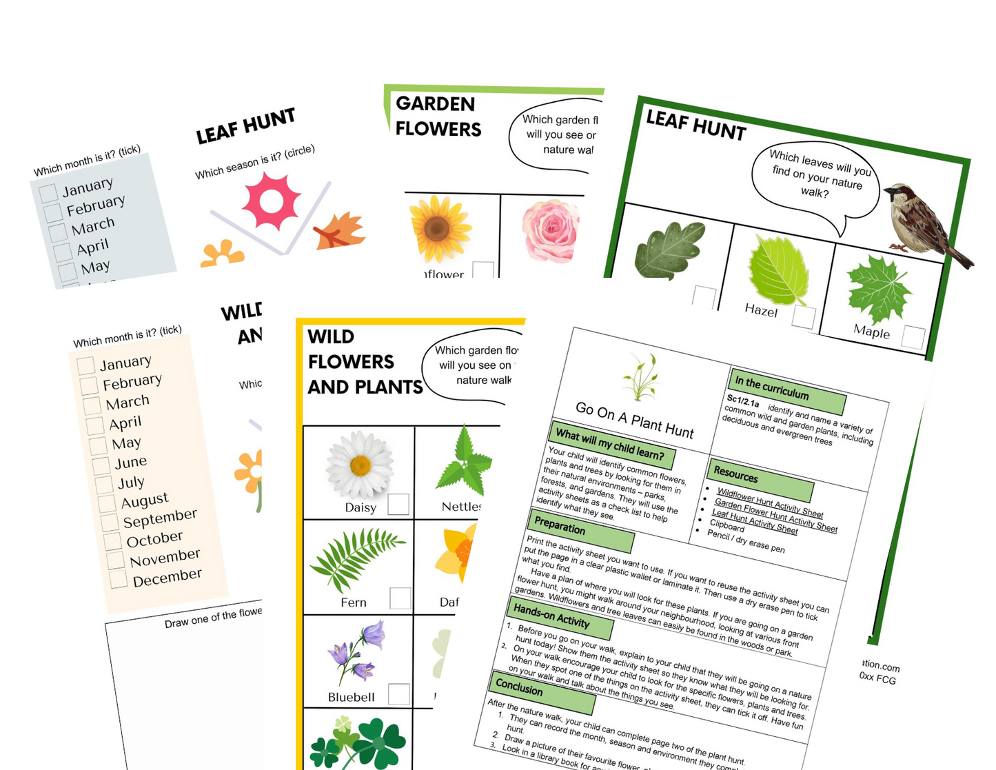 KS1 Plantes Autour de Nous Activités