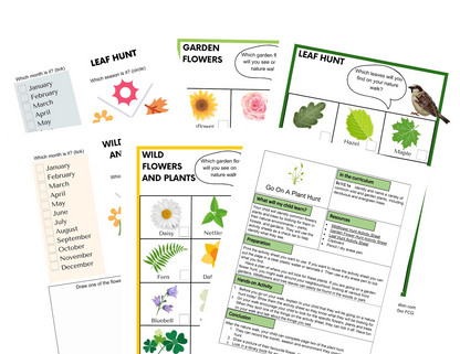 KS1 Plantes Autour de Nous Activités