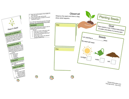 Plantas KS1 que nos rodean Actividades