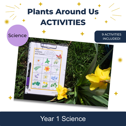 Plants Around Us Activities