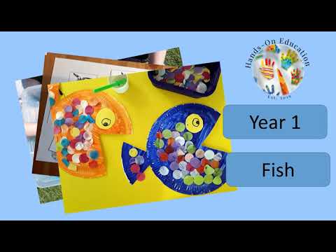 Year 1 Fish Activities