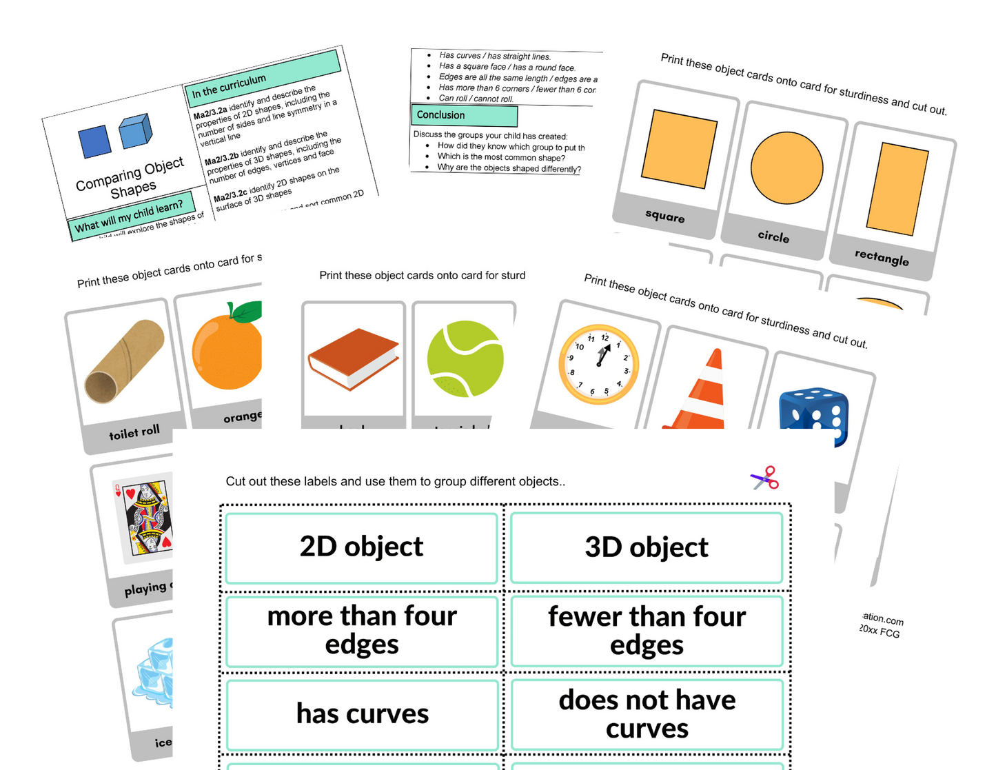 KS1 Actividades sobre cómo crecen las plantas