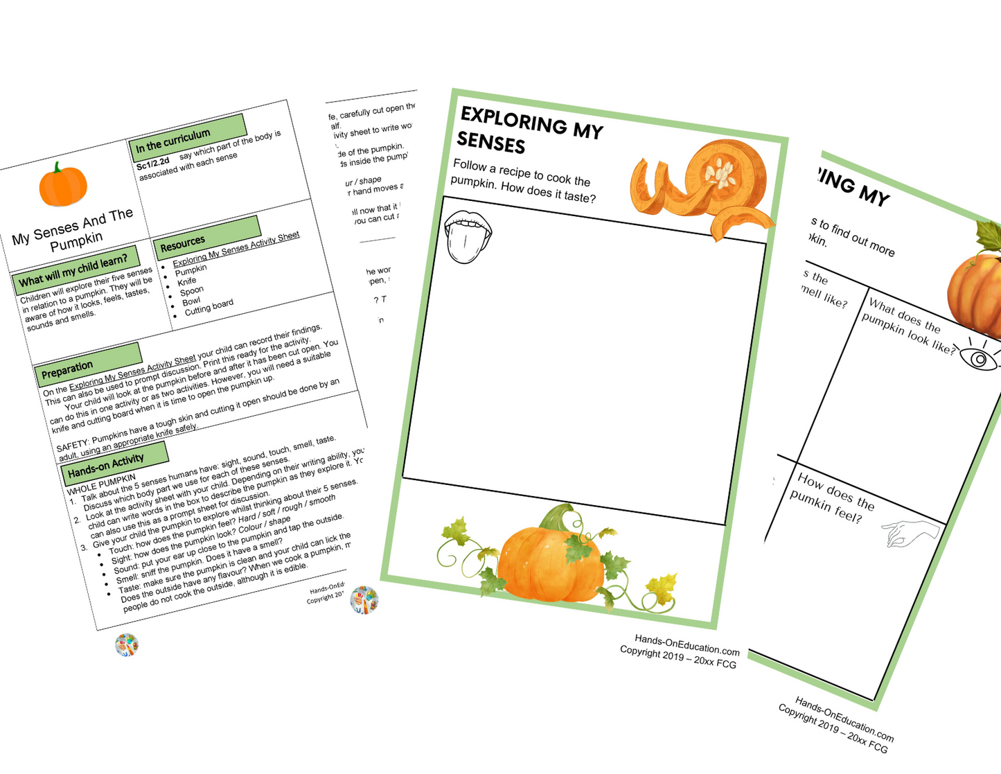 Year 1 Pumpkins + Recipe Journal