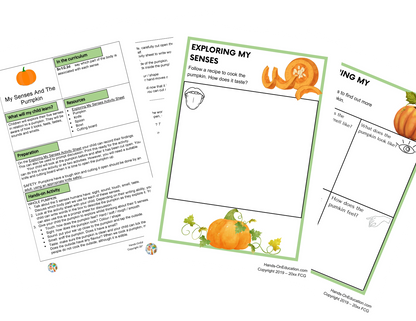Year 1 Pumpkins + Recipe Journal