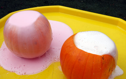 Year 1 Pumpkins + Recipe Journal