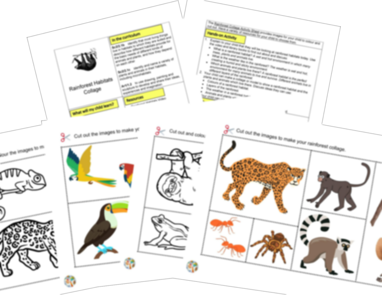 Year 2 Habitats Rainforests Activities