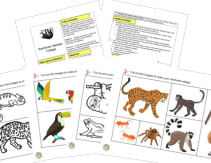 Year 2 Habitats Rainforests Activities