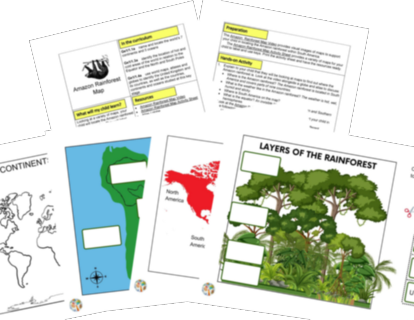 Year 2 Habitats Rainforests Activities