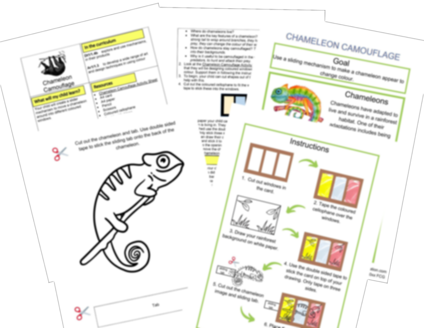 Year 2 Habitats Rainforests Activities