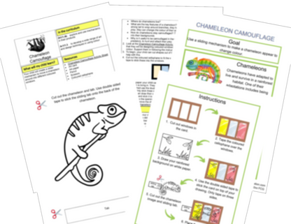 Year 2 Habitats Rainforests Activities