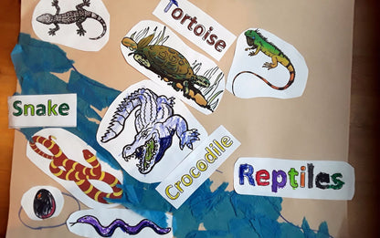 Year 1 Reptiles Activities