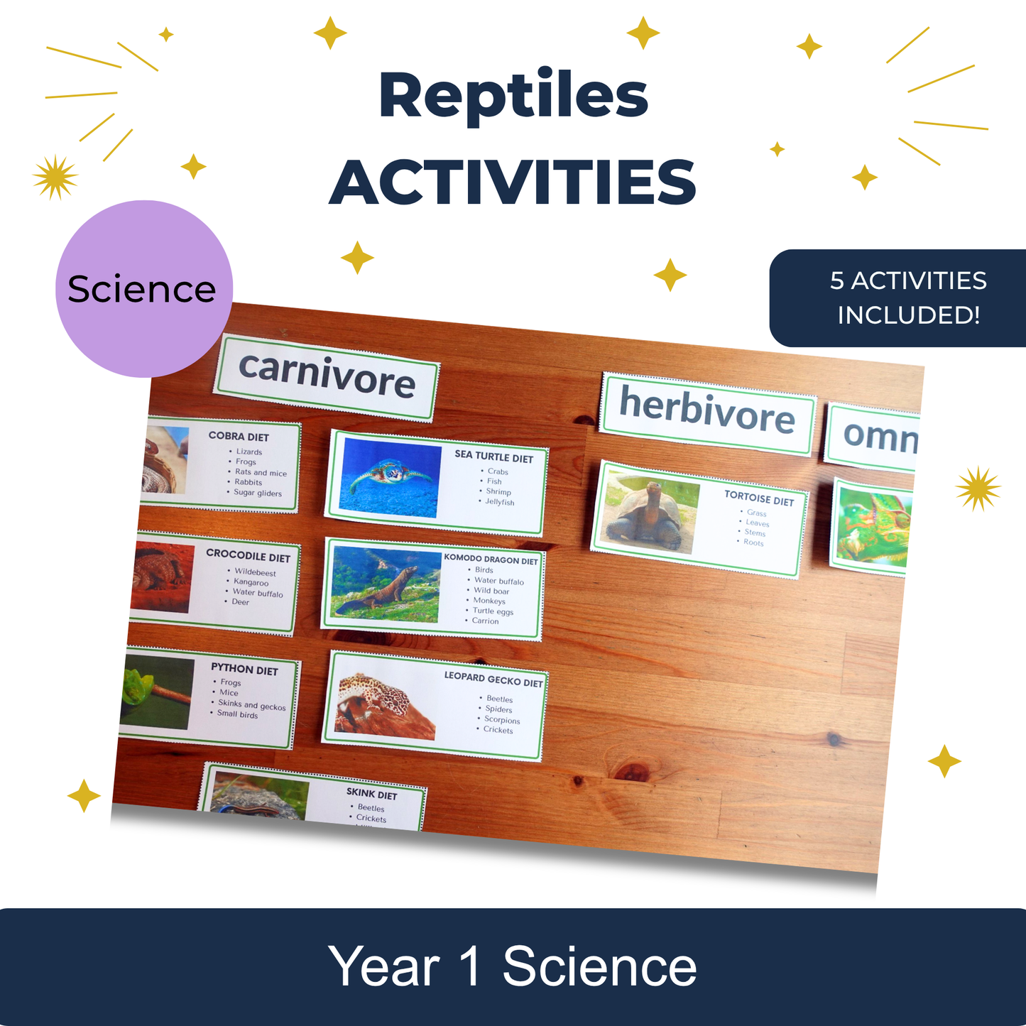 Reptiles Activities