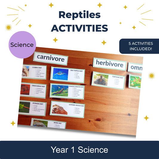 Reptiles Activities
