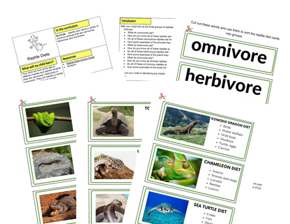 Activités des reptiles KS1