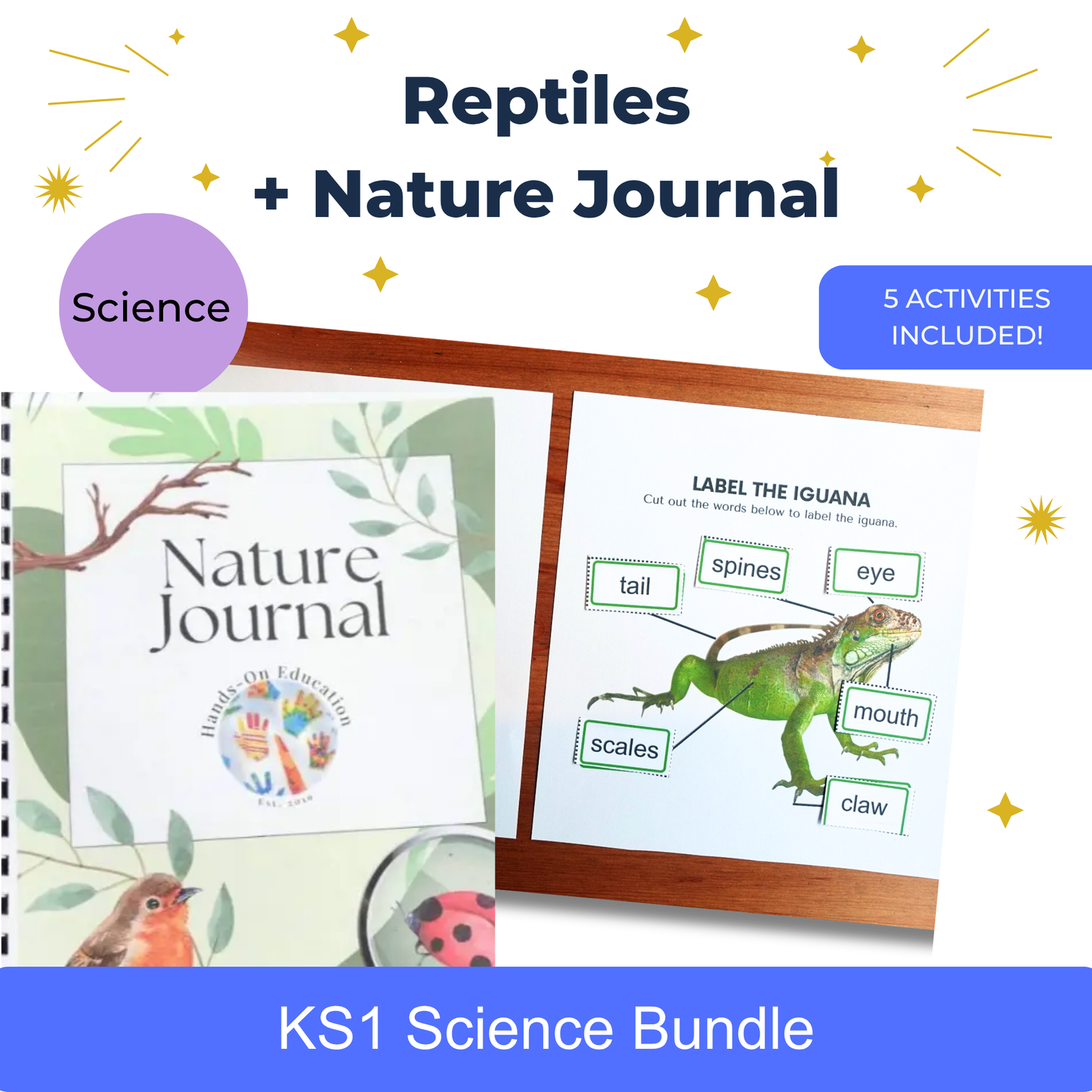 Activités des reptiles KS1