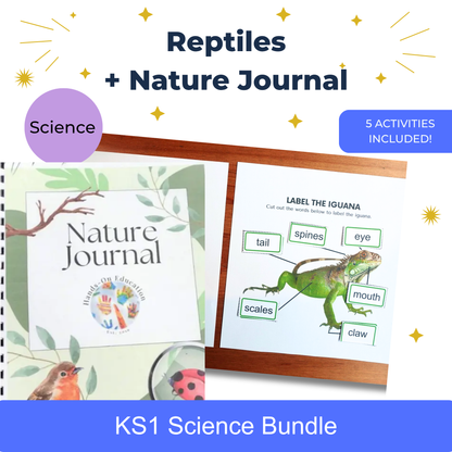 Activités des reptiles KS1