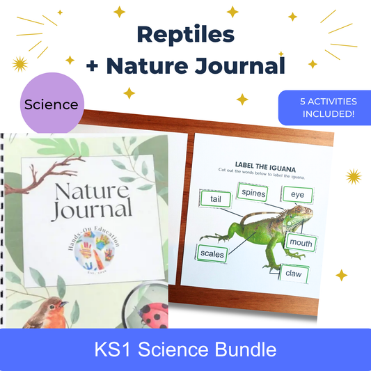 Actividades de reptiles KS1