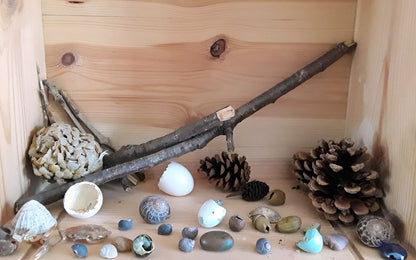 Year 1 Seasons + Nature Journal