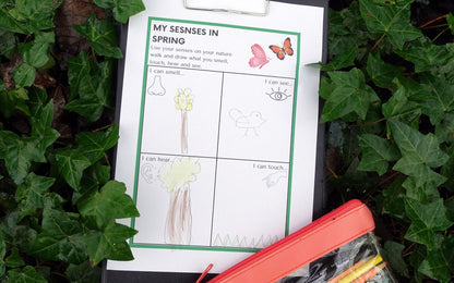 Year 1 Seasons + Nature Journal