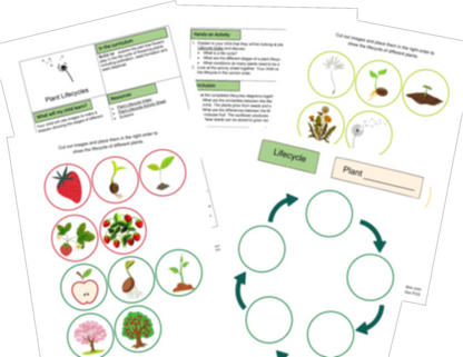 Lower Key Stage 2 Monthly Membership