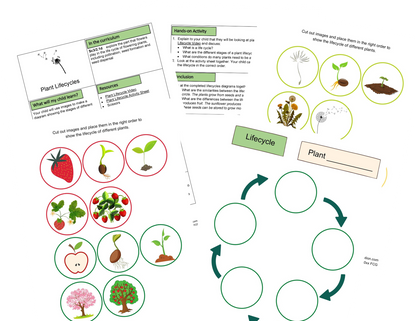 Activités Semences et Cycles de Vie KS2