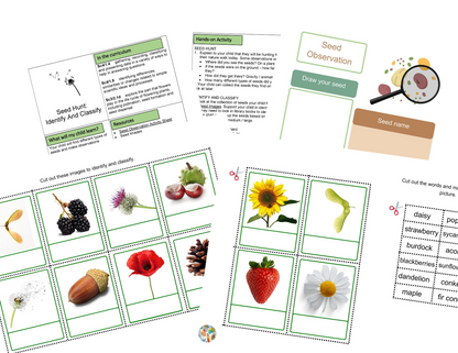 Activités Semences et Cycles de Vie KS2