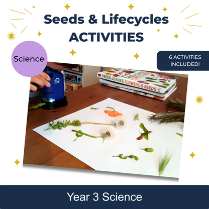 Actividades de semillas y ciclos de vida de KS2