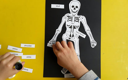 Year 3 My Skeleton Activities