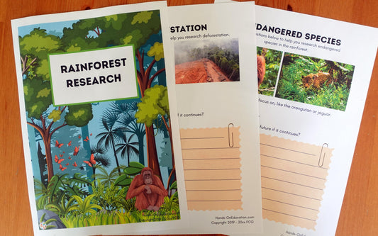 Year 5 The Vanishing Rainforests Activities