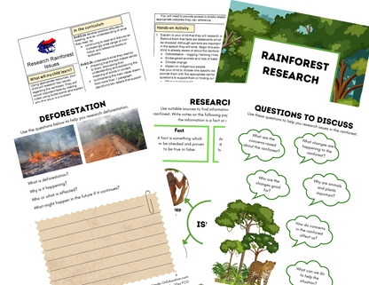 Year 5 The Vanishing Rainforests Activities