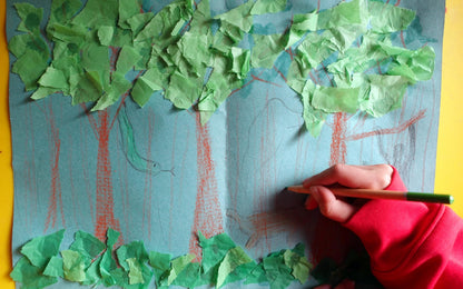 Year 5 The Vanishing Rainforests Activities