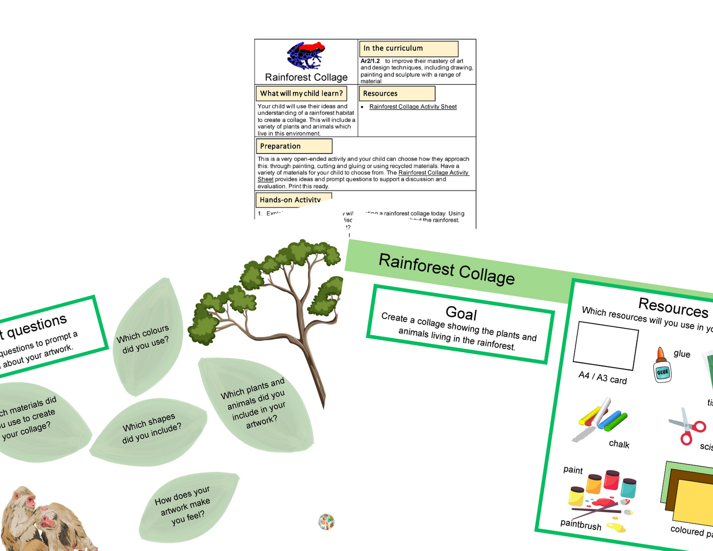 Year 5 The Vanishing Rainforests Activities
