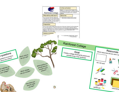 Year 5 The Vanishing Rainforests Activities