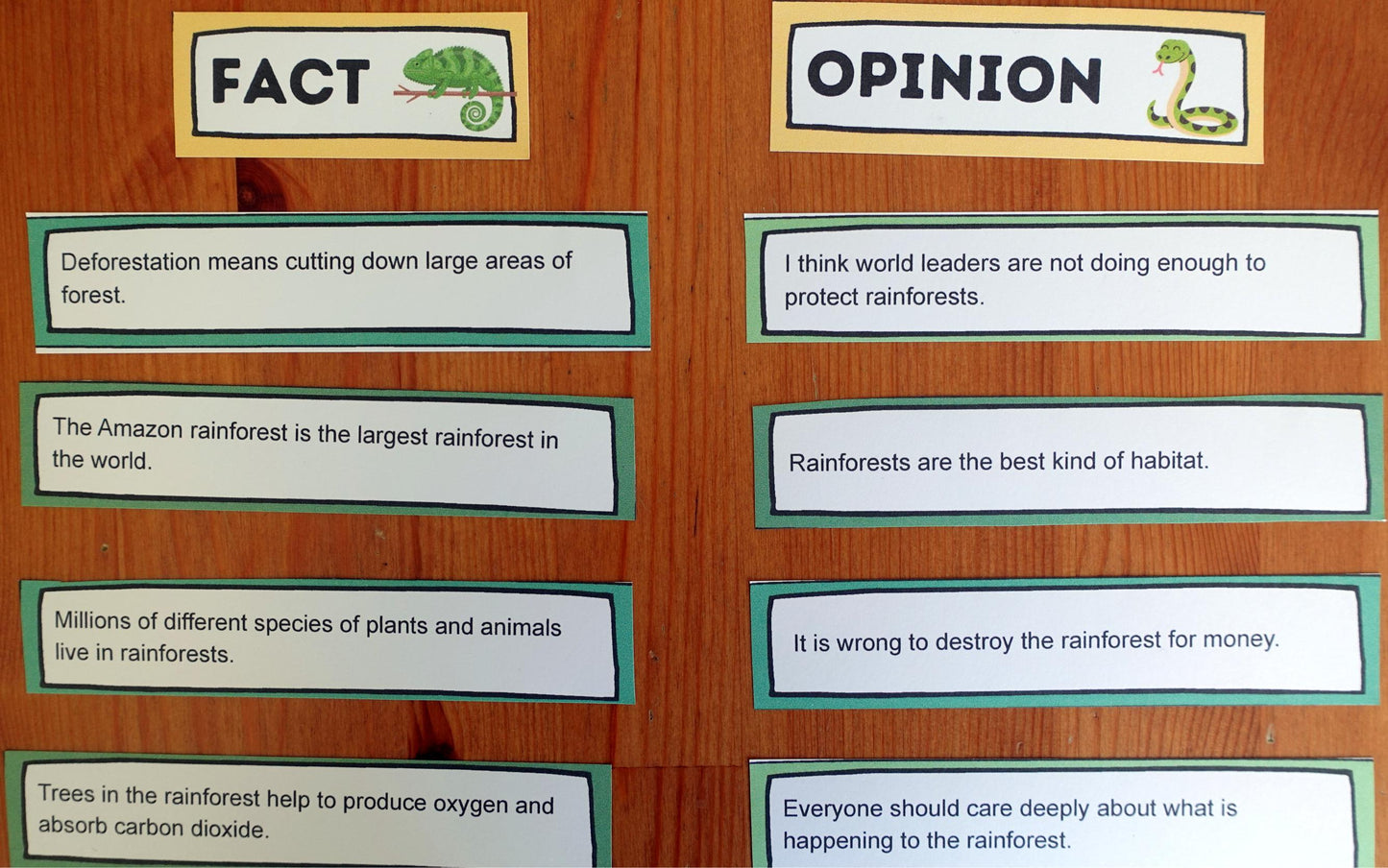 Year 5 The Vanishing Rainforests Activities