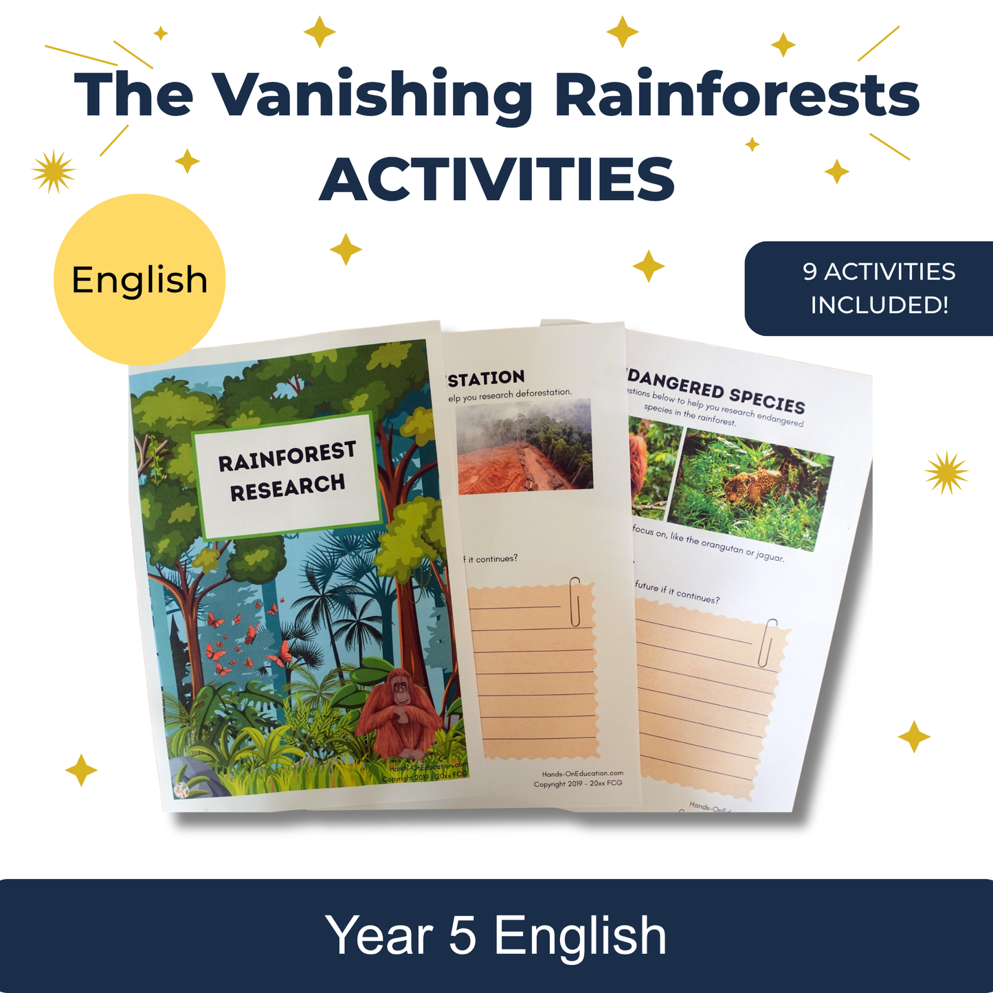 Year 5 The Vanishing Rainforests Activities