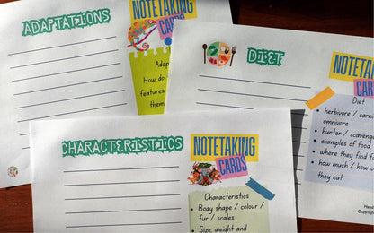 Year 5 Wild And Wonderful