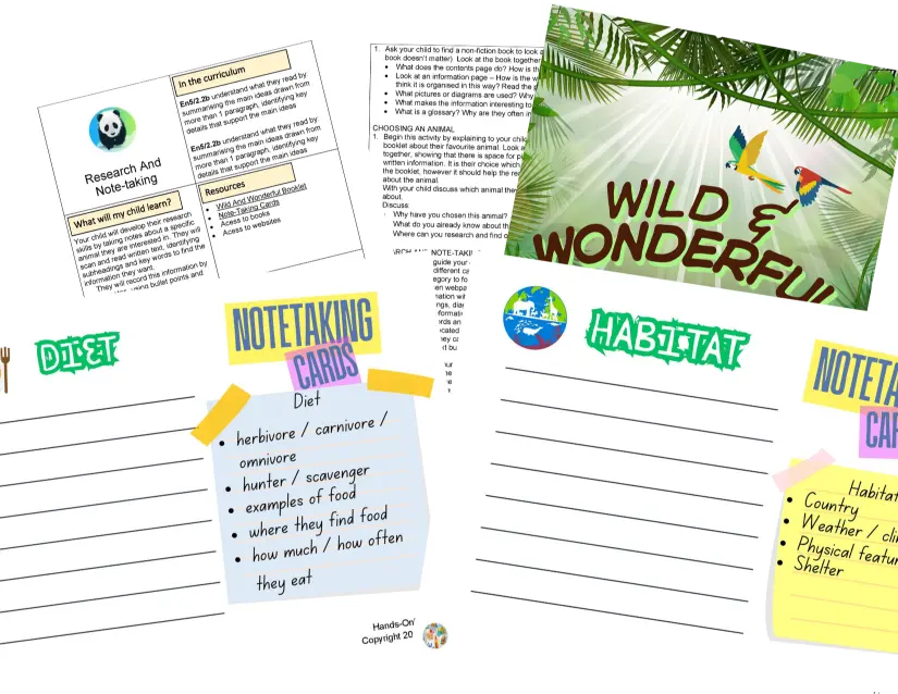 Year 5 Wild And Wonderful