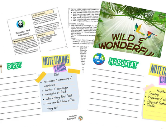 Year 5 Wild And Wonderful