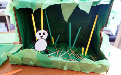 Year 5 Wild And Wonderful