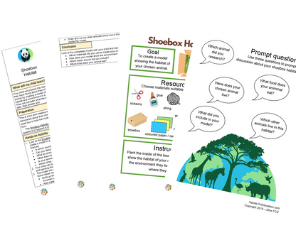 Year 5 Wild And Wonderful