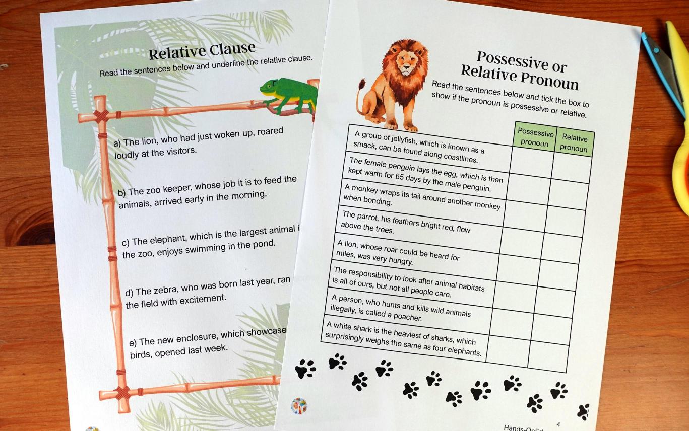 Year 5 Wild And Wonderful