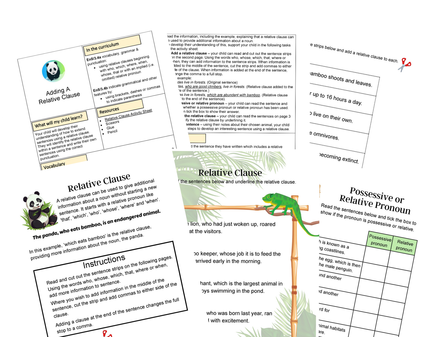 Year 5 Wild And Wonderful