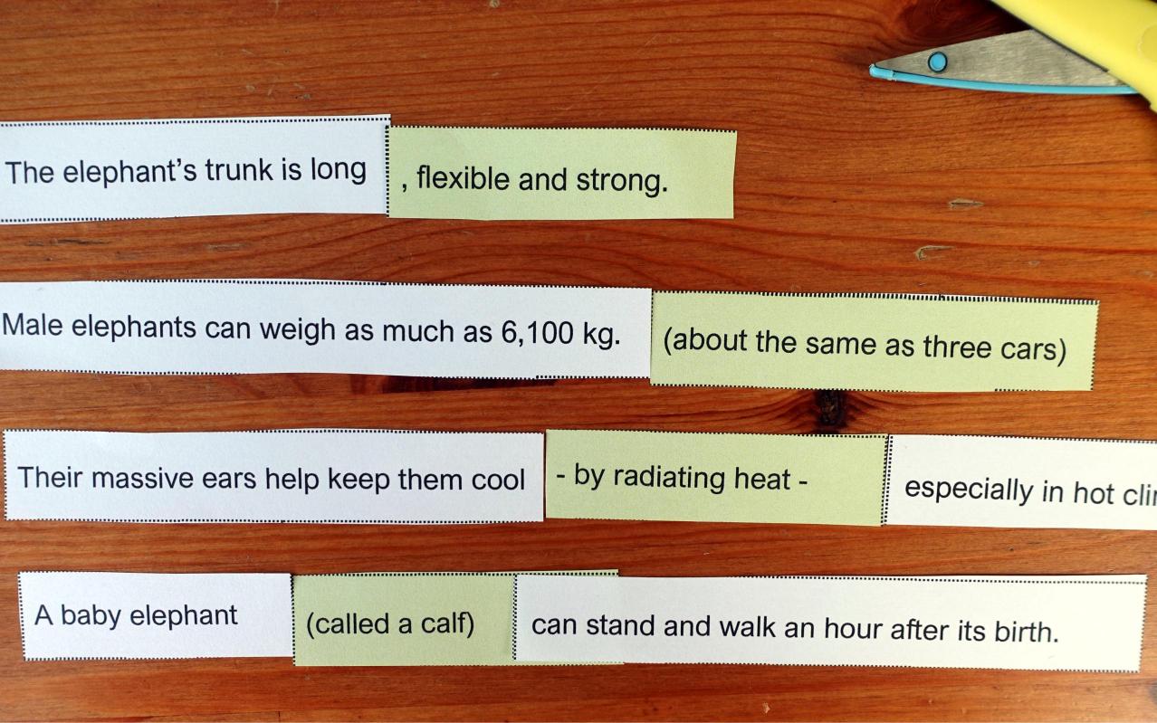 Year 5 Wild And Wonderful