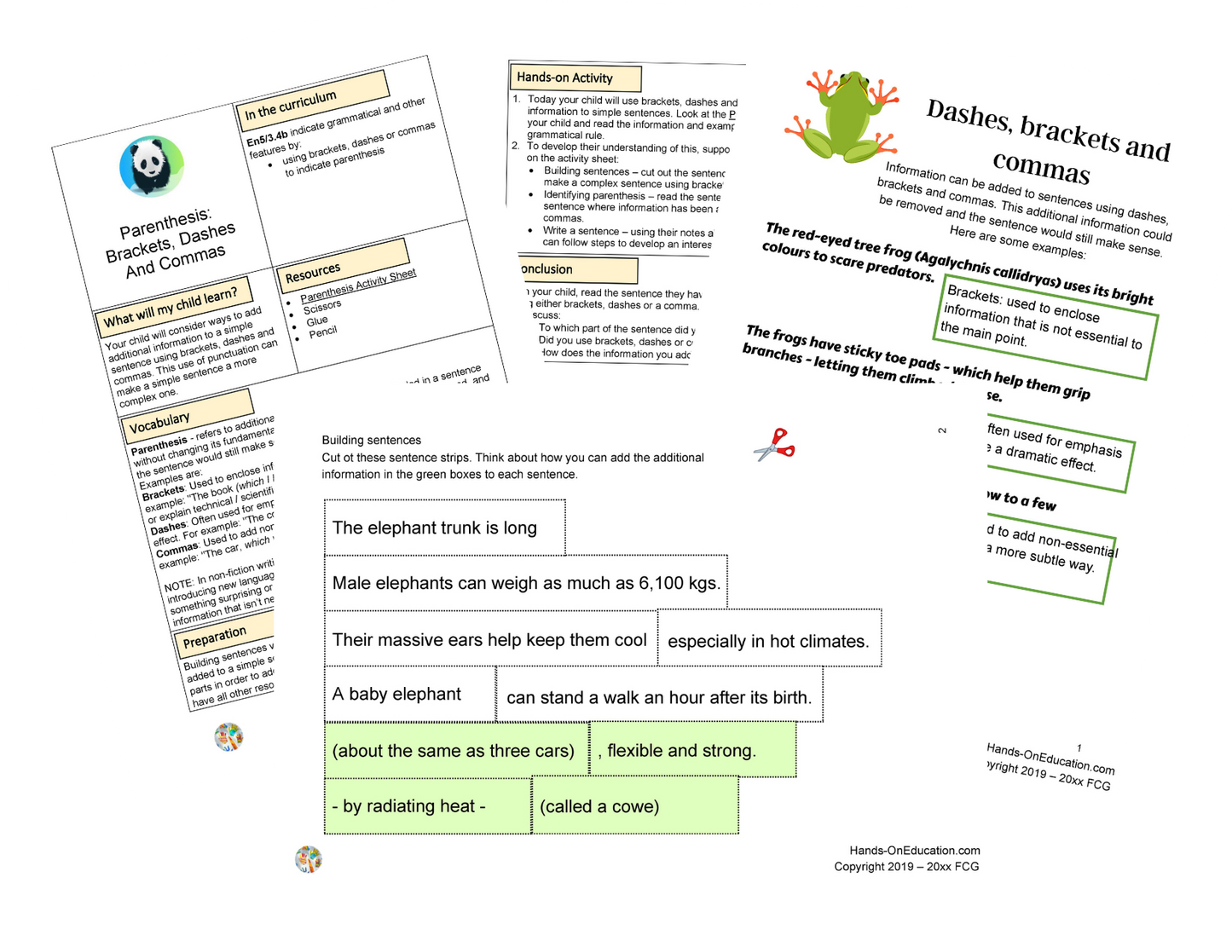 Year 5 Wild And Wonderful