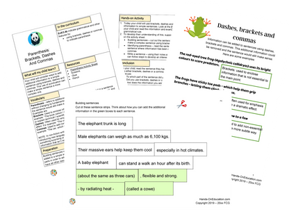 Year 5 Wild And Wonderful