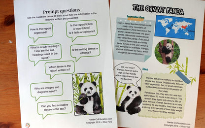 Year 5 Wild And Wonderful